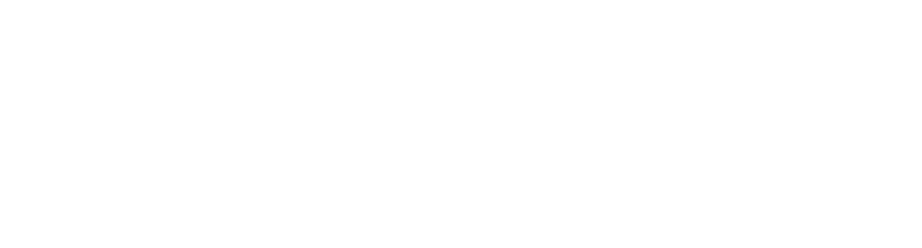 The Michelle Collins Show